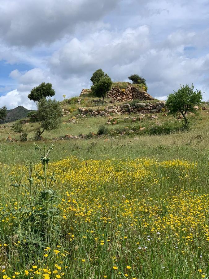 شقة Sa Domu Frisca Domusnovas المظهر الخارجي الصورة